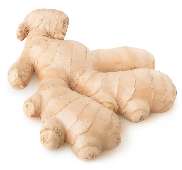 Isolated ginger root — Stock Photo, Image