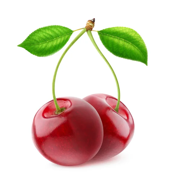 Isolated sweet cherries — Stock Photo, Image