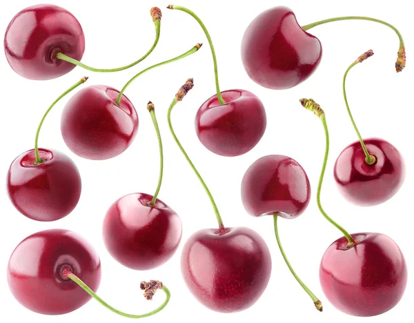 Collection of isolated cherry fruits — Stock Photo, Image
