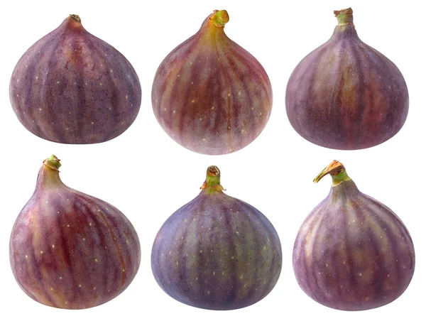 Verzameling van geïsoleerde fig vruchten — Stockfoto