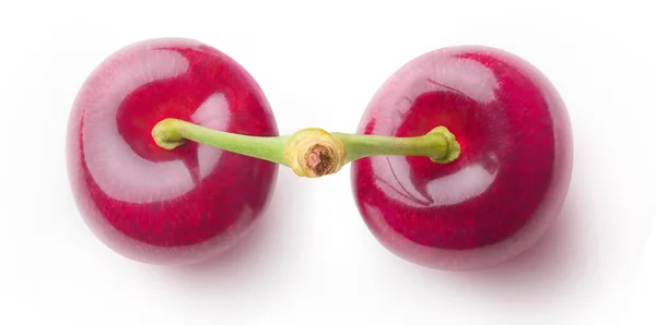 从上面分离出来的樱桃 两个甜樱桃果实的顶部 一个茎被白色背景隔离 — 图库照片
