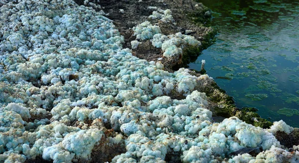 鉄硫酸の結晶 放棄されたパイライト鉱山の近くの毒性廃棄物 — ストック写真