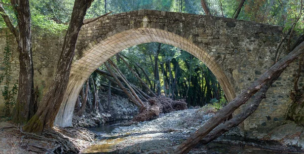 Średniowieczny Most Roudias Lesie Pafos Cypr Zbudowany Przez Wenecjan Xvi — Zdjęcie stockowe