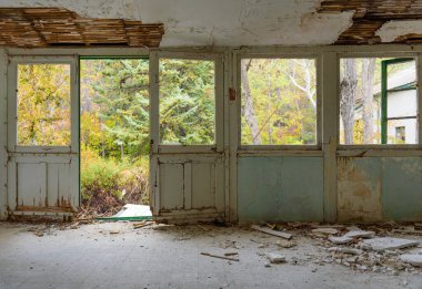 Terk edilmiş ev içi. Kapı ve pencere çerçeveli galeri, kırık cam ve düşen alçı, pencerelerden görünen aşırı gelişmiş sonbahar bahçesi.
