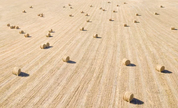 Luftaufnahme Des Feldes Mit Getrocknetem Heu Ballen Weites Panorama — Stockfoto