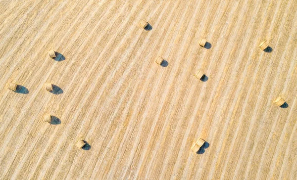 Hay Bales Agricultural Field Natural Pattern Aerial Panoram Directly — Stock Photo, Image