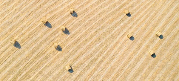 Воздушная Панорама Сельскохозяйственного Поля Тюками Сена Природный Узор — стоковое фото