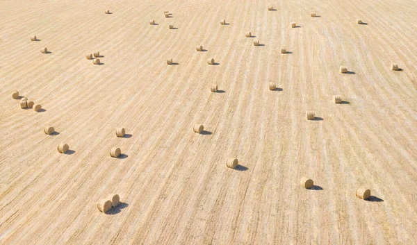 Luftaufnahme Eines Heufeldes Mit Heuballen Und Gemähtem Grasstreifen — Stockfoto