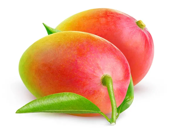 Dos Frutos Rojos Mango Aislados Sobre Fondo Blanco — Foto de Stock