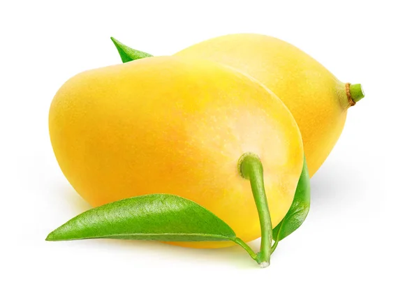 Zwei Thailändische Gelbe Mangofrüchte Mit Blättern Auf Weißem Hintergrund — Stockfoto