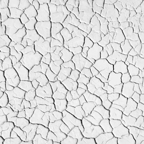 Terreno Rachado Seco Sobreposição Quadrada Textura Preta Branca — Fotografia de Stock