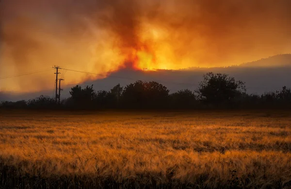 Ländliche Landschaft Mit Dramatischem Flächenbrand Der Nacht Und Weizenfeld Vordergrund — Stockfoto