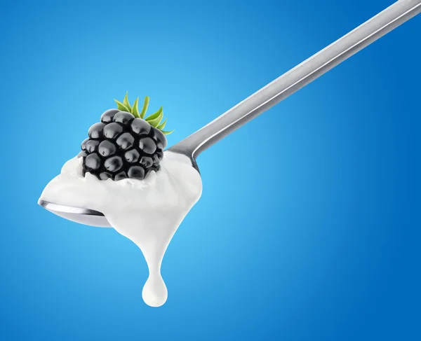 Ложка чорничного йогурту — стокове фото