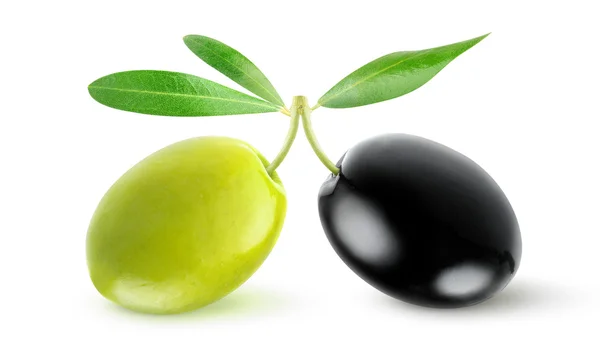 Two olives — Stock Photo, Image