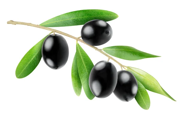 Aceitunas negras — Foto de Stock