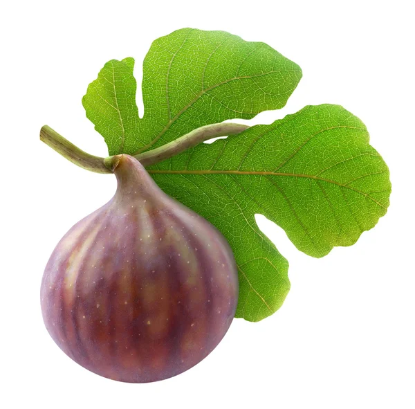 Fresh fig — Stock Photo, Image