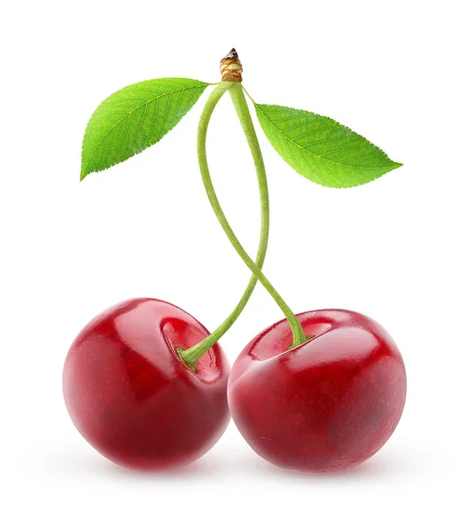 Sweet cherries — Stock Photo, Image