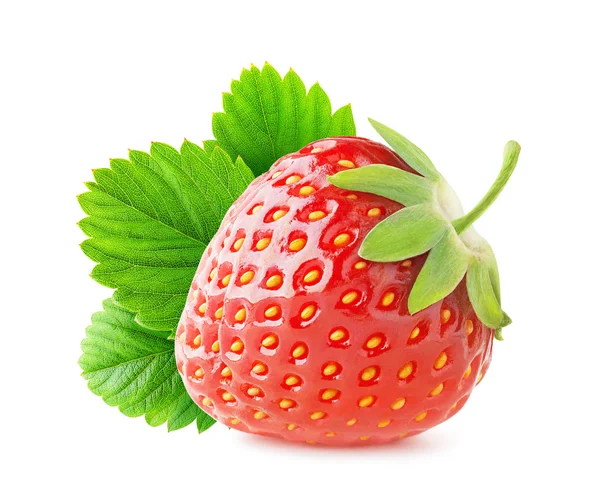 Fragola — Foto Stock