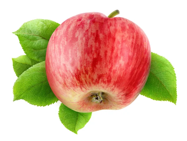 Manzana con hojas — Foto de Stock