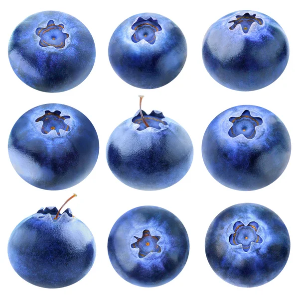 Collection of blueberries — Stock Photo, Image