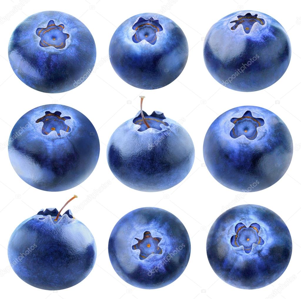 Collection of blueberries