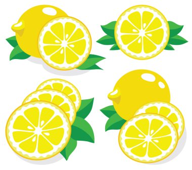 limon vektör çizim