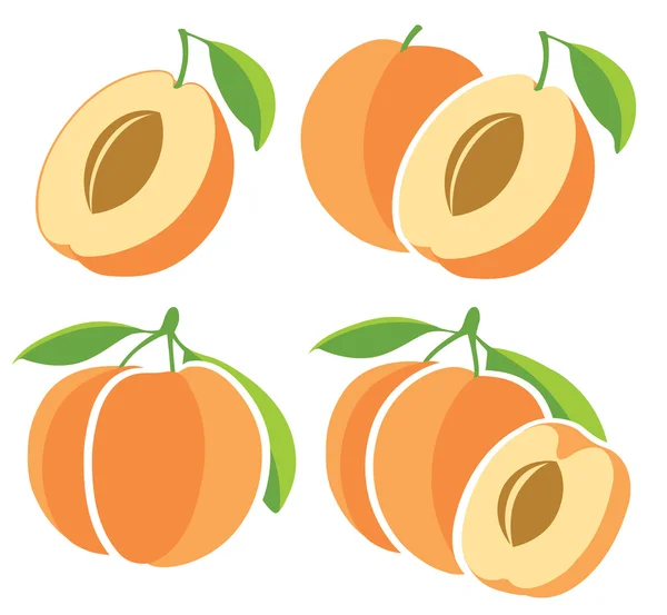 Abricots — Image vectorielle