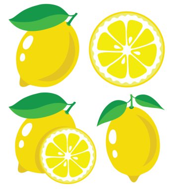 limon vektör çizim