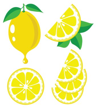 limon vektör çizim