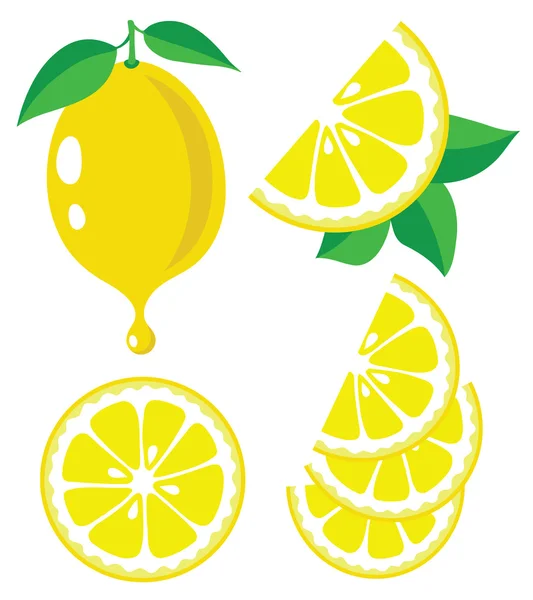 Lemon vector illustration — Stock Vector