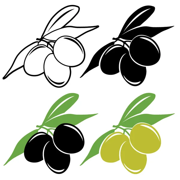 Illustration des olives — Image vectorielle
