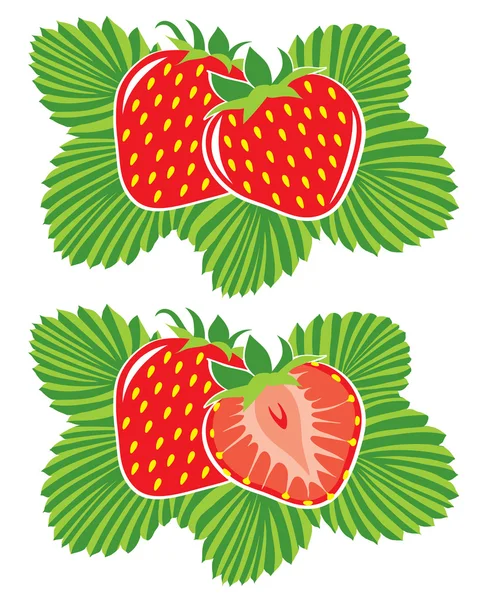 Strawberries — Stock Vector