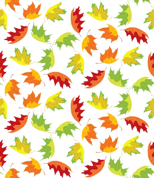 Autumn leaves pattern — Stock Vector