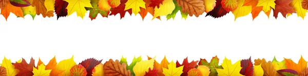 Безшовна рамка осіннього листя — стокове фото