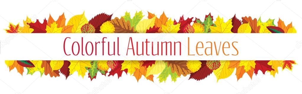 Colorful autumn leaves border