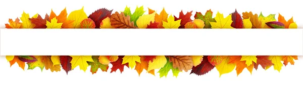 Барвистий банер осіннього листя — стокове фото