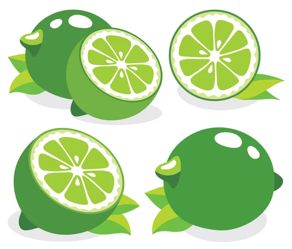 Fresh limes — Stock Vector