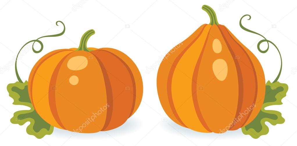 Two pumpkins of different shape, vector illustration