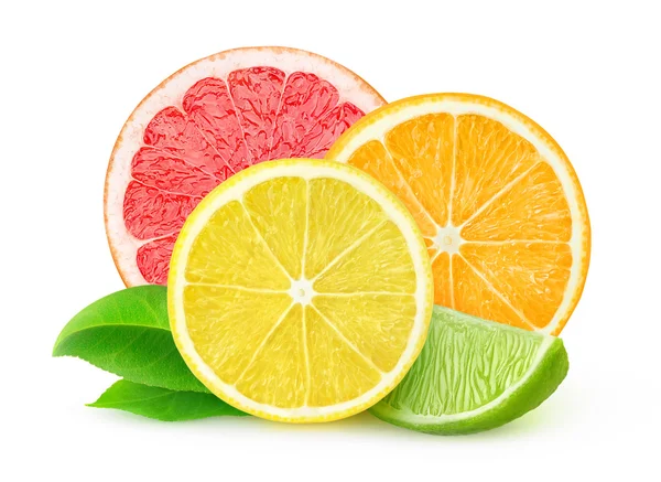 Färska citrusfrukter — Stockfoto