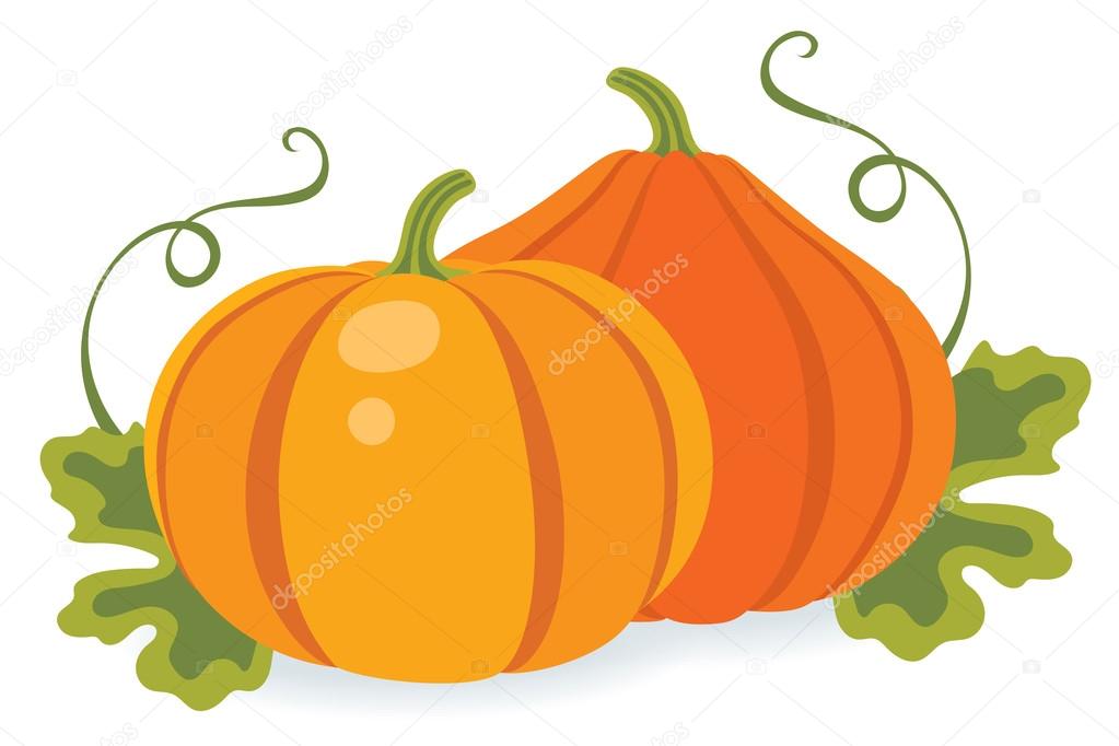 Two pumpkins with leaves, vector illustration