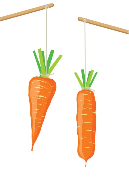 Carrot on a stick — Stock Vector