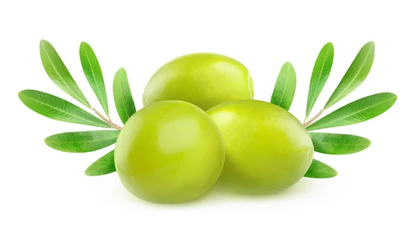 Tre gröna oliver, grenar och blad — Stockfoto