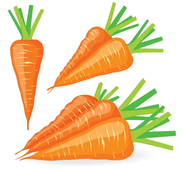Набор векторной моркови — стоковый вектор