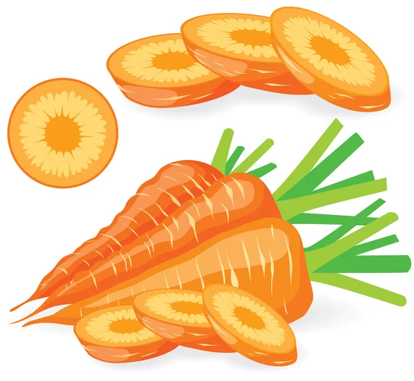 Sliced carrots vector illustrations — Stock Vector