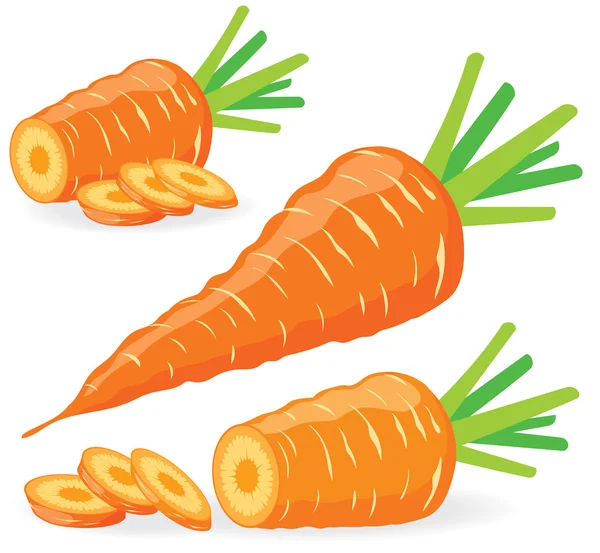 Sliced carrots vector illustrations — Stock Vector