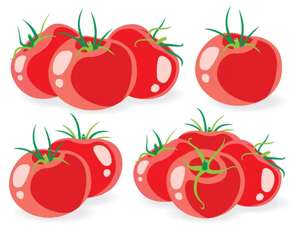 Colección de vectores de tomate — Vector de stock