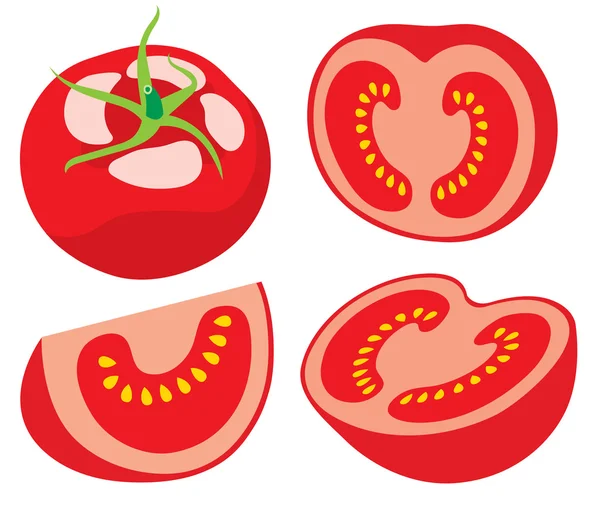 Pieces of tomato illustration — Stock Vector