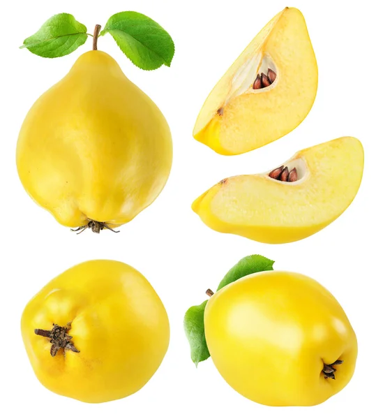 Quince fruits collection — Stock Photo, Image