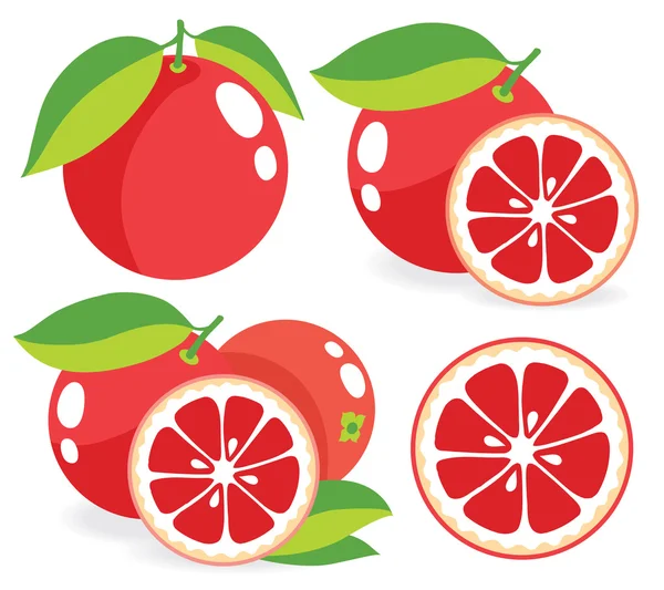 Pink grapefruits vector illustrations — Stock Vector