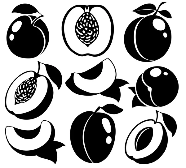Vector svarta och vita persikor och aprikoser — Stock vektor